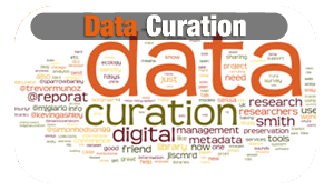 Data Curation